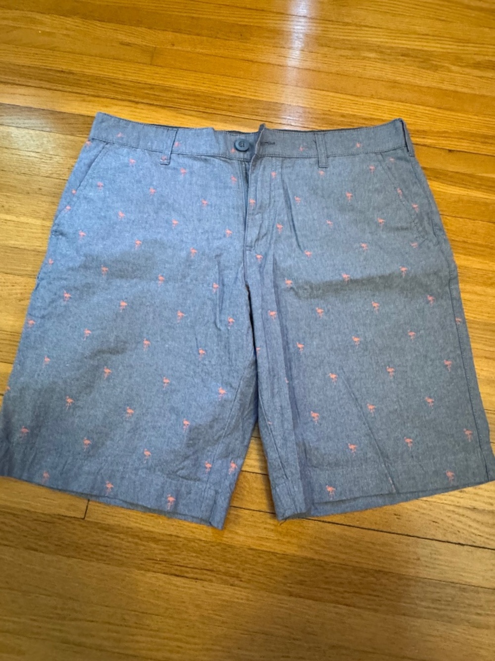 Mens Chambray Flamingo 9" Shorts Size 34
